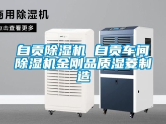 企業(yè)新聞自貢除濕機 自貢車間除濕機金剛品質濕菱制造
