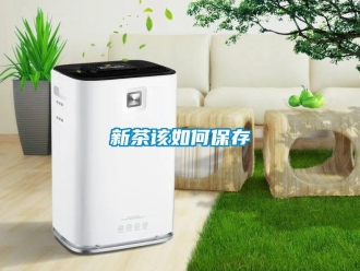 常見問題新茶該如何保存