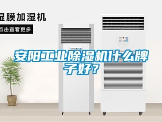常見問題安陽工業除濕機什么牌子好？