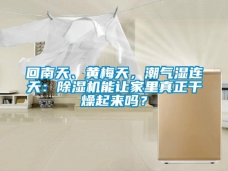行業新聞回南天、黃梅天，潮氣濕連天：除濕機能讓家里真正干燥起來嗎？
