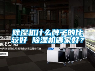 行業新聞除濕機什么牌子的比較好 除濕機哪家好？