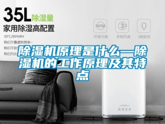 行業(yè)新聞除濕機(jī)原理是什么—除濕機(jī)的工作原理及其特點(diǎn)