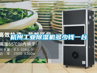 常見問題杭州工業除濕機多少錢一臺