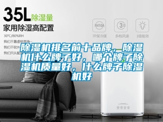 企業新聞除濕機排名前十品牌，除濕機什么牌子好，哪個牌子除濕機質量好，什么牌子除濕機好