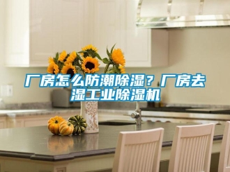 常見問題廠房怎么防潮除濕？廠房去濕工業除濕機