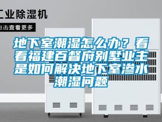 企業新聞地下室潮濕怎么辦？看看福建百督府別墅業主是如何解決地下室滲水潮濕問題