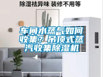 常見問題車間水蒸氣如何收集？吊頂式蒸汽收集除濕機(jī)