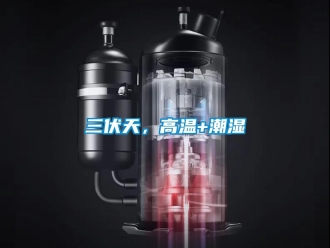 行業新聞三伏天，高溫+潮濕