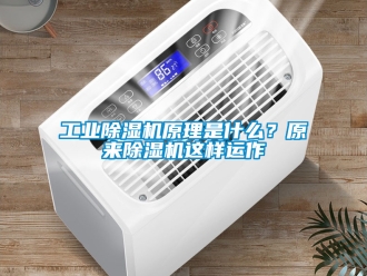 常見問題工業除濕機原理是什么？原來除濕機這樣運作