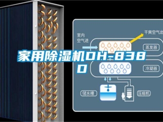 常見問題家用除濕機DH-838D