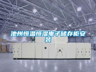 知識百科池州恒溫恒濕電子儲存柜安裝