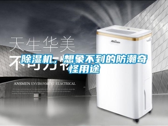 常見問題除濕機，想象不到的防潮奇怪用途