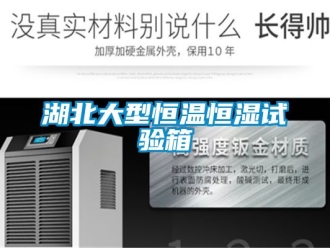知識百科湖北大型恒溫恒濕試驗箱