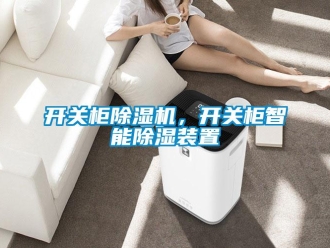 行業(yè)新聞開(kāi)關(guān)柜除濕機(jī)，開(kāi)關(guān)柜智能除濕裝置