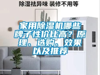 常見(jiàn)問(wèn)題家用除濕機(jī)哪些牌子性價(jià)比高？原理、選購(gòu)、效果以及推薦