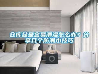 企業新聞倉庫總是容易潮濕怎么辦？分享幾個防潮小技巧