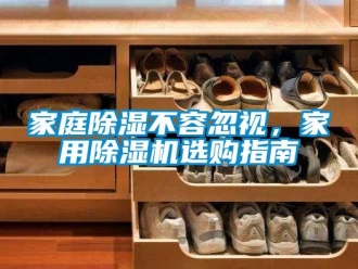 常見問題家庭除濕不容忽視，家用除濕機選購指南