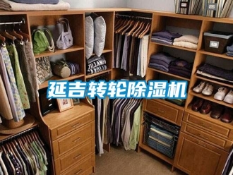 常見問題延吉轉(zhuǎn)輪除濕機