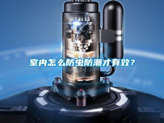 常見問題室內(nèi)怎么防蟲防潮才有效？