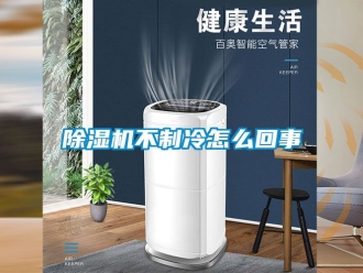 企業新聞除濕機不制冷怎么回事