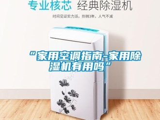 常見(jiàn)問(wèn)題“家用空調(diào)指南-家用除濕機(jī)有用嗎”