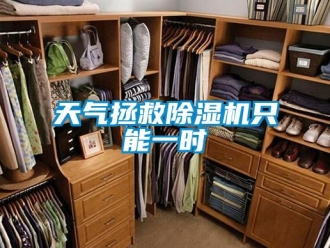 知識百科天氣拯救除濕機只能一時
