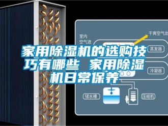 常見問題家用除濕機的選購技巧有哪些 家用除濕機日常保養