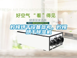 行業(yè)新聞檸檬烘干設(shè)備參考，檸檬烘干除濕機(jī)