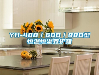 常見問題YH-40B／60B／90B型恒溫恒濕養(yǎng)護(hù)箱
