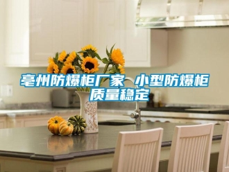 企業(yè)新聞亳州防爆柜廠家 小型防爆柜 質(zhì)量穩(wěn)定