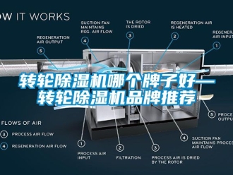 常見問題轉輪除濕機哪個牌子好—轉輪除濕機品牌推薦
