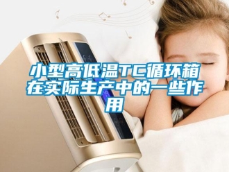 常見問題小型高低溫TC循環箱在實際生產中的一些作用