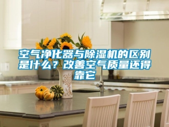 行業新聞空氣凈化器與除濕機的區別是什么？改善空氣質量還得靠它