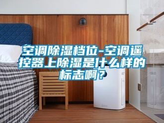 行業(yè)新聞空調(diào)除濕檔位-空調(diào)遙控器上除濕是什么樣的標志啊？