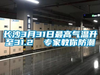 常見問題長(zhǎng)沙3月31日最高氣溫升至31.2℃ 專家教你防潮