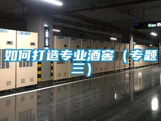 常見問題如何打造專業酒窖（專題三）