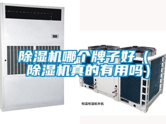 行業(yè)新聞除濕機哪個牌子好（ 除濕機真的有用嗎）