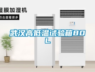 常見問題武漢高低溫試驗箱80L