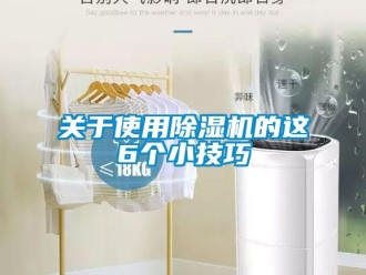 行業新聞關于使用除濕機的這6個小技巧