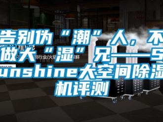 行業新聞告別偽“潮”人，不做大“濕”兄——Sunshine大空間除濕機評測