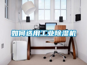 常見(jiàn)問(wèn)題如何選用工業(yè)除濕機(jī)