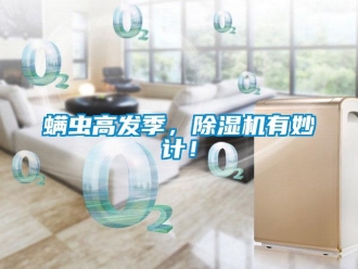 行業新聞螨蟲高發季，除濕機有妙計！