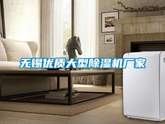 企業(yè)新聞無錫優(yōu)質大型除濕機廠家