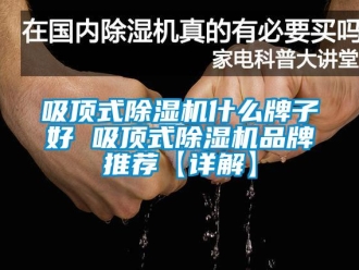 企業新聞吸頂式除濕機什么牌子好 吸頂式除濕機品牌推薦【詳解】