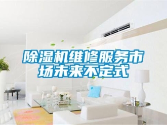 企業新聞除濕機維修服務市場未來不定式