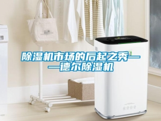 企業新聞除濕機市場的后起之秀——德爾除濕機