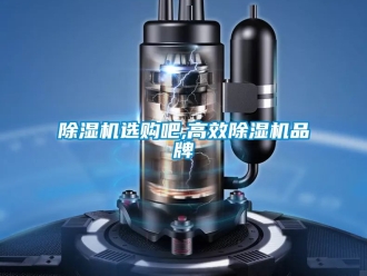 企業(yè)新聞除濕機選購吧,高效除濕機品牌
