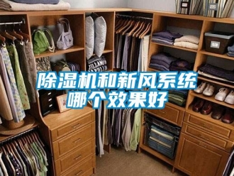 常見問題除濕機和新風系統哪個效果好