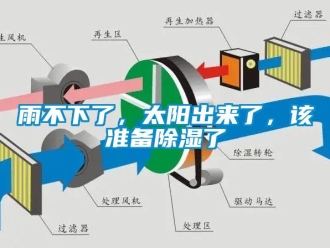 知識百科雨不下了，太陽出來了，該準備除濕了
