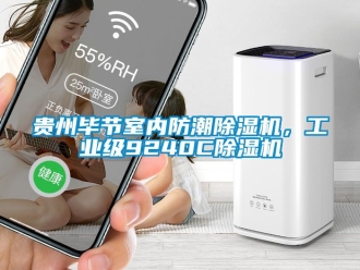 常見問題貴州畢節(jié)室內(nèi)防潮除濕機(jī)，工業(yè)級(jí)9240C除濕機(jī)